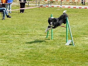 Training