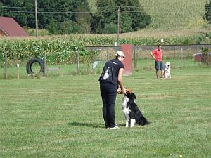 Training