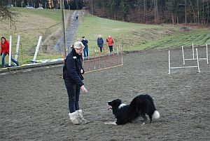 dogdance