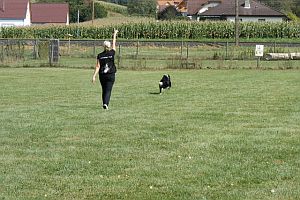Training